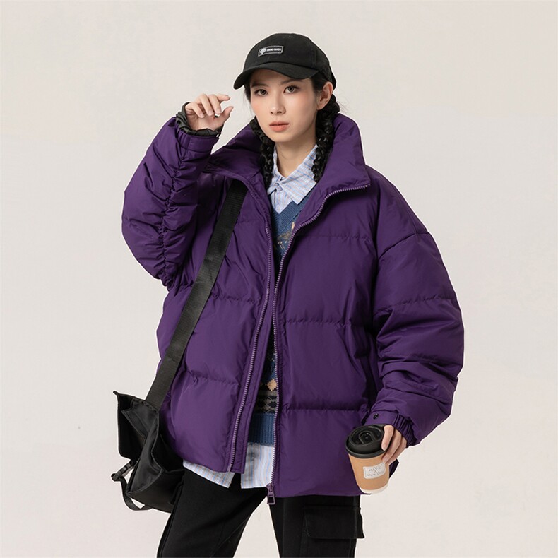 新标90白鸭绒简约休闲立领外套纯色潮流加厚羽绒服ESY0214-P198,男装羽绒服,电商B306