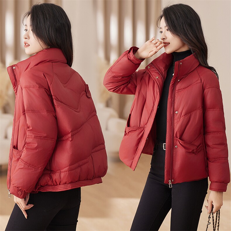 现货2023冬新款休闲保暖立领羽绒服图片
