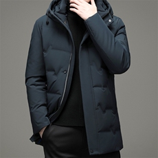 冬季男士商务休闲羽绒服中年男装带帽外套加厚上衣YYYR3021-P280，男装羽绒服，电商B212（原钱塘6029）