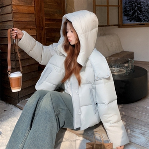 现货新款2163-P275-K399小个子羽绒面包服女图片