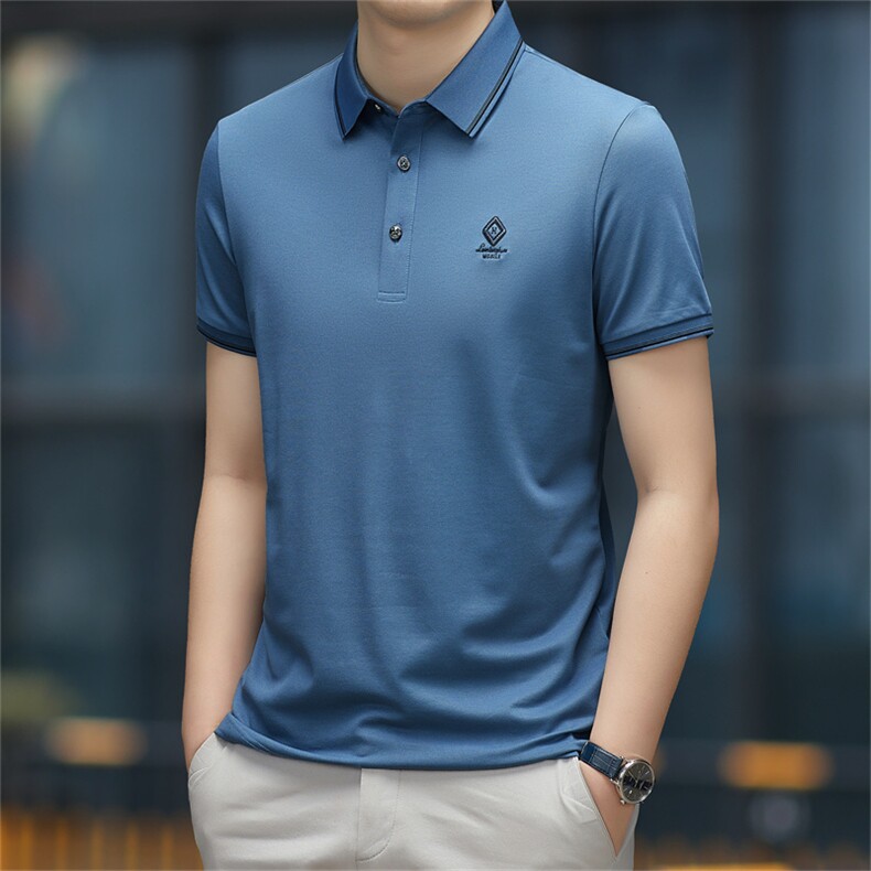 2023夏季新款短袖T恤保罗polo衫中年商务休闲男装半袖翻领男薄款，男装Polo衫，电商B212（原钱塘6029）