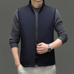 CD33718钱塘2020-2商务休闲秋冬季百搭中年男士马甲主推P165图片