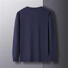 G2617男式2023年秋季新款T恤衫男长袖圆领青年休闲体恤P55，男装T恤，电商B360