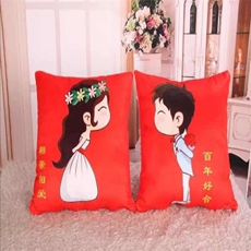 鑫慕玩具 相亲相爱（3D抱枕）