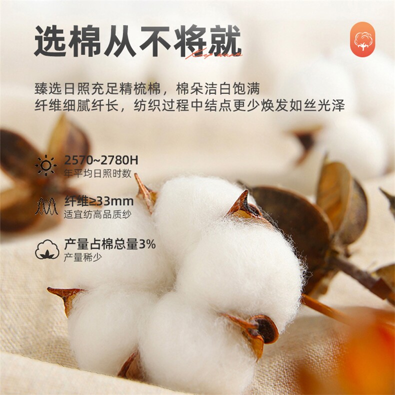 2024年秋季新款百搭保暖防寒冬季纯色提花棉护腰男女通用,饰品周边,晨宏羊绒