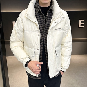 标50  2023立领假两件帅气高级感白鸭绒羽绒服男YR8096-P220图片