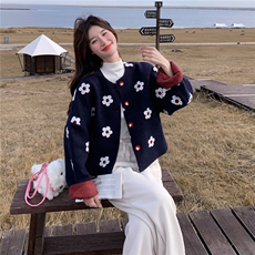 设计感藏青色印花毛呢外套女秋冬超火好看高级小众加厚短夹克上衣，女装短外套，2D145