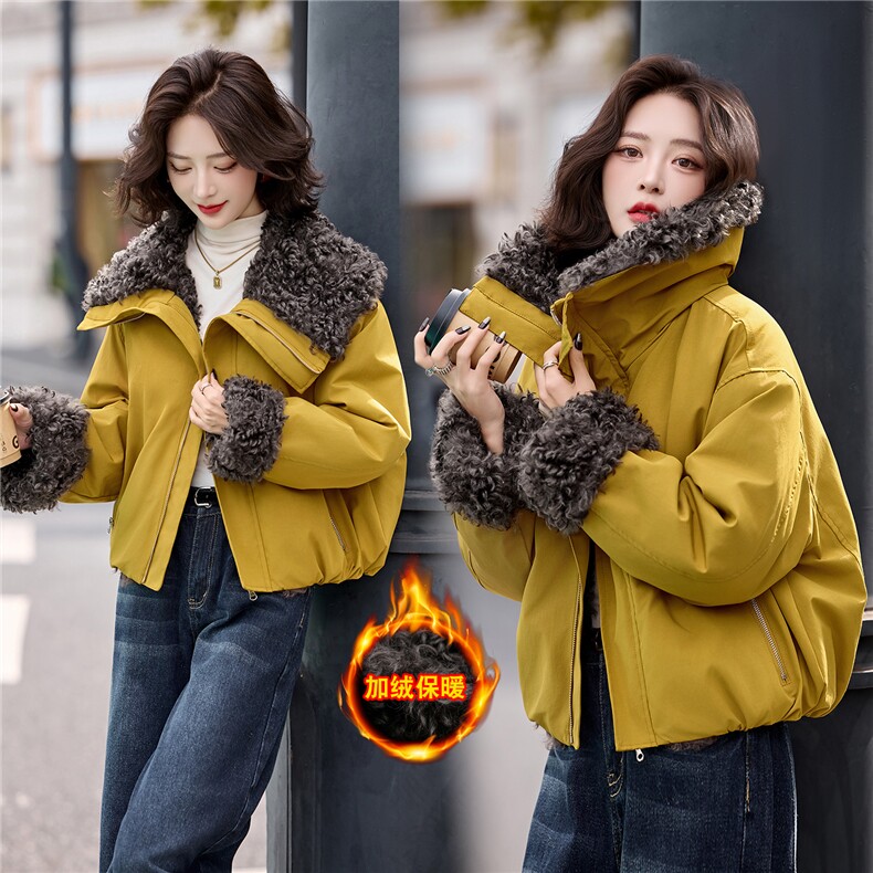 2025年秋季新款时尚百搭两面穿加绒长袖保暖短款外套，女装短外套，天丝秀