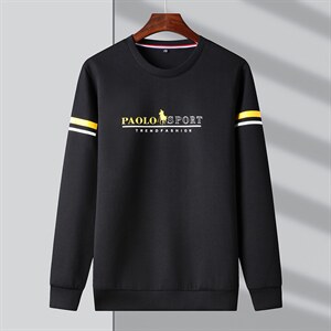 QLM77196男式秋季服装新款长袖T恤青年卫衣四季打底体恤P63图片
