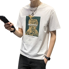 100%棉主推夏装新款纯棉短袖T恤男休闲体恤95012，男装T恤，电商D240-242