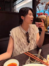 2026年秋季时尚百搭通勤简约休闲开衫马甲,女装马甲,斯尔特羊绒, 2026年秋季时尚百搭通勤简约休闲开衫马甲,女装马甲,斯尔特羊绒,