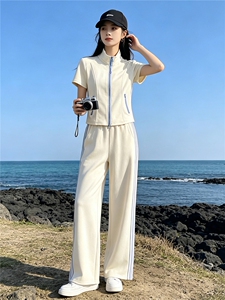 港风炸街休闲运动套装女夏洋气显瘦修身立领短袖上衣阔腿裤两件套图片