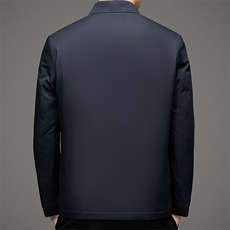 棉衣冬季新款商务休闲常规翻领风衣男宽松气质棉服MSNAN2117-P195，男装棉衣，电商B212（原钱塘6029）