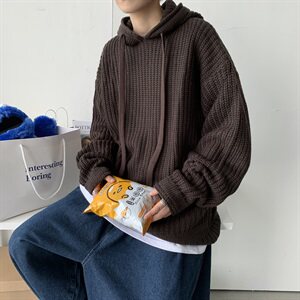 20秋冬 港风连帽针织衫毛衣中性情侣纯色百搭韩版潮 W01/图片