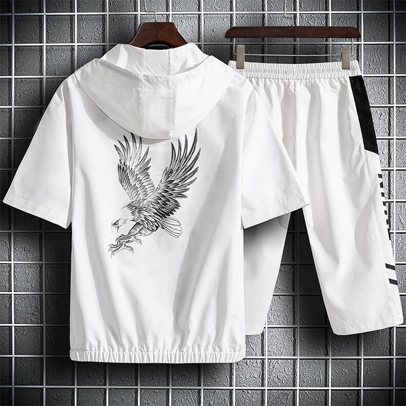 夏季开衫短袖套装男老鹰印花宽松休闲套装A158-S208图片