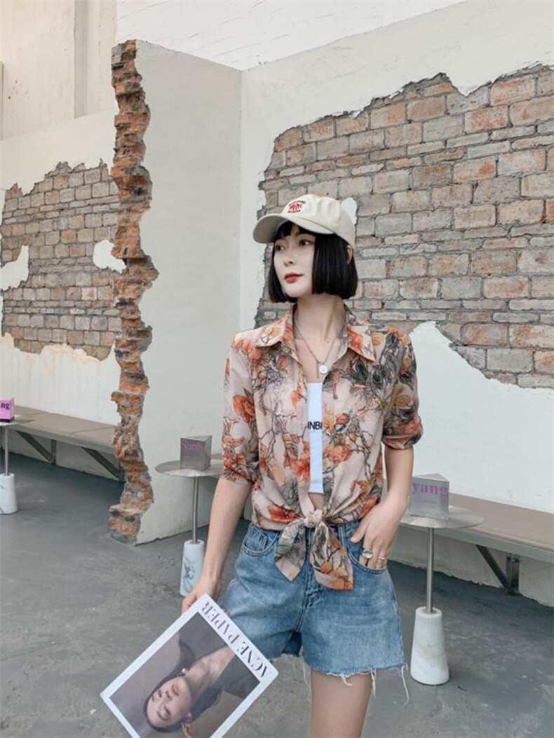 花衬衣，其它，红嘴鸥