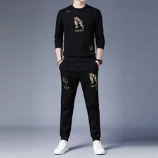 2023春秋季新款男式休闲套装圆领长袖T恤中青年长裤运动两件套，男装休闲套装，电商B212（原钱塘6029）