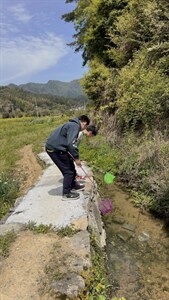 设计师款图片