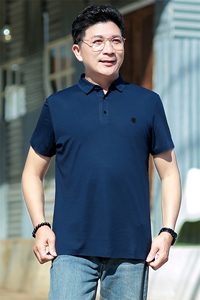 中年休闲男装翻领半袖T恤衫2023夏季新款男士polo衫薄款休闲上衣图片