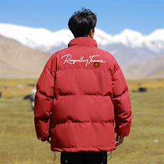 2024冬季新款cityboy大码字母印花棉衣M-5XHM24753-6-特P55，男装棉衣，电商A022