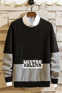主推款 2021圆领卫衣外套秋新款套头港风潮流上衣宽松男WY110-P22图片