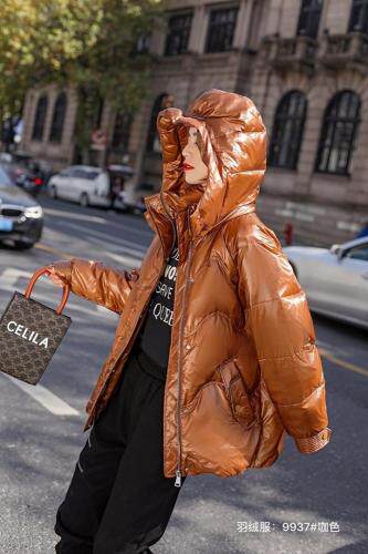 红.炫影 HZHXY103836