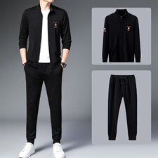 2023秋季新款男装中年男士商务休闲套装长袖立领卫衣薄款两件套，男装休闲套装，电商B212（原钱塘6029）