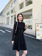 〈现〉连衣裙，女装连衣裙，伊娜蕾尔