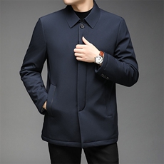 秋冬新款棉服男翻领中年男商务厚棉服休闲冬外套HPN9815-1-P200，男装棉衣，电商B212（原钱塘6029）
