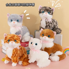 黄条纹猫