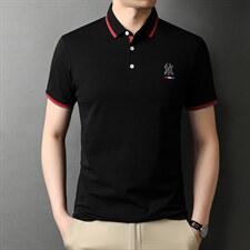 polo衫短袖男夏季潮牌2023新款半袖上衣宽松翻领t恤男，男装T恤，电商B212（原钱塘6029）