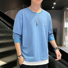 秋季新款男士大码宽松圆领假两件休闲上衣卫衣CYWY8852-P30，男装卫衣，电商A128
