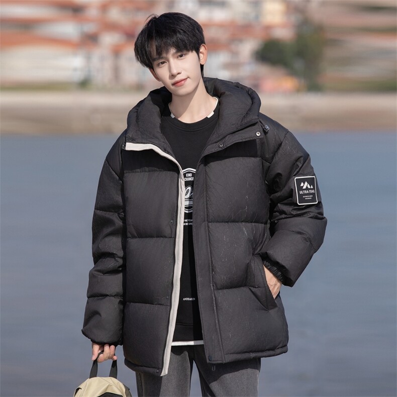 新标90白鸭绒连帽羽绒服时尚休闲简约百搭外套BL0617-P268,男装羽绒服,电商B306