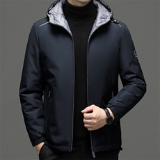 QDA801钱塘2020-2中年男士冬季厚款连帽百搭简约羽绒服P175，男装羽绒服，钱塘207-2