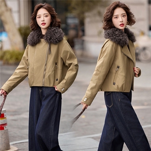 欧货2025冬羊羔毛毛领加厚保暖90白鸭绒羽绒服女图片