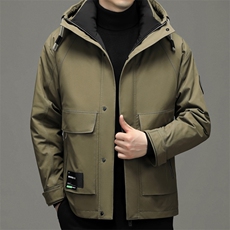 DF6850钱塘2020-2中年男士冬季厚款商务休闲连帽羽绒服P290，男装羽绒服，钱塘207-2