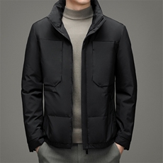 冬季白鸭绒羽绒服男士立领时尚休闲保暖羽绒外套SNNYR16901-P285，男装羽绒服，电商B212（原钱塘6029）