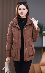 2023年冬新款棉衣外套女短款立领棉服宽松显瘦简约棉袄外套女图片