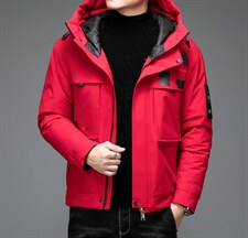 中年羽绒服男冬季宽松连帽羽绒服爸爸冬装保暖外套ALXB8808-P285图片