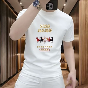 1586-1/TJT1441/P32休闲简约纯棉短袖男士重磅宽松透气圆领半袖图片