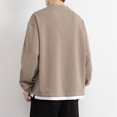 W25220-特P55春秋时尚休闲卫衣男打底衫，男装卫衣，电商D310B