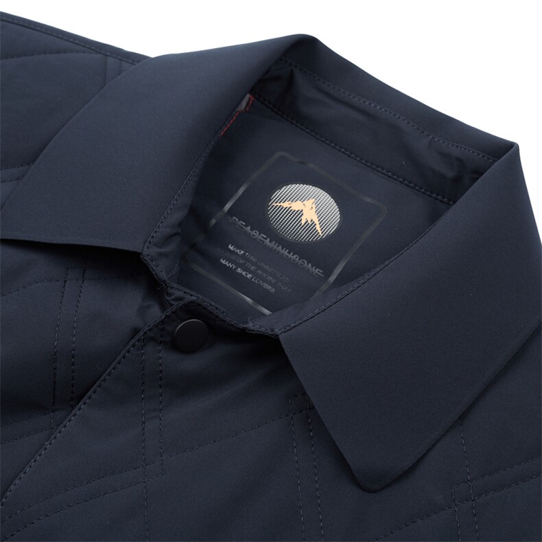 冬季外套男棉衣中年商务翻领棉服休闲上衣爸爸装棉袄A9601-P165图片
