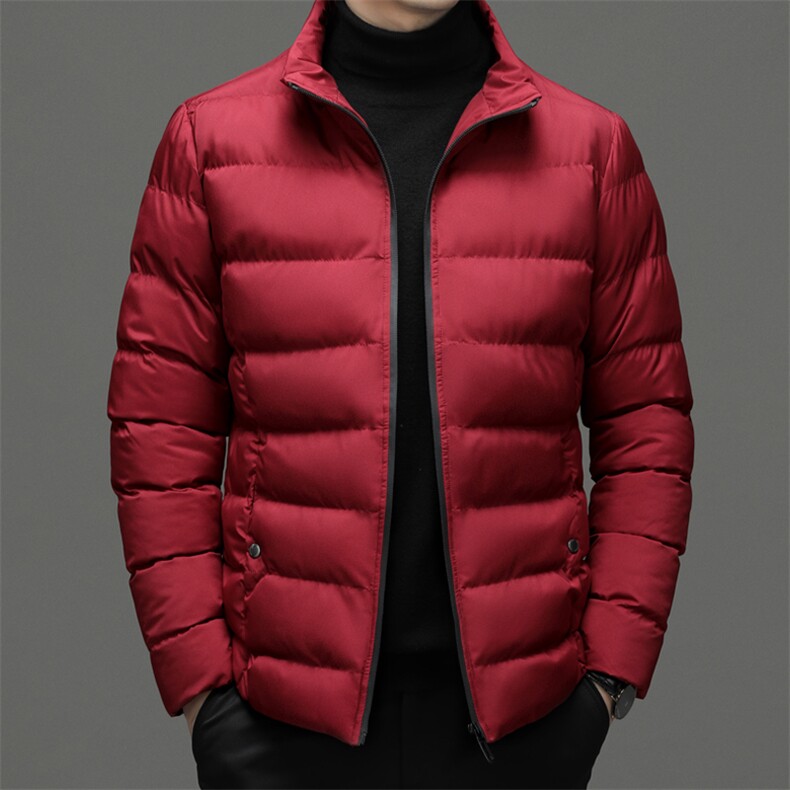 冬季立领纯色棉衣新款中年男士商务休闲厚款保暖棉服外套男装,男装棉衣,电商B212（原钱塘6029）