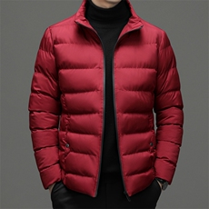 冬季立领纯色棉衣新款中年男士商务休闲厚款保暖棉服外套男装，男装棉衣，电商B212（原钱塘6029）