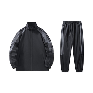 2025男秋季开衫套装两件套运动服休闲服长袖套装立领外套D02-P40图片