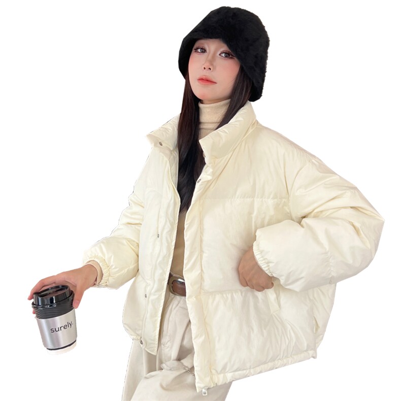 2023冬季新款时尚休闲立领羽绒服,女装羽绒服,阿舍尔精品