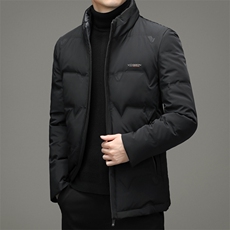 AN9873钱塘2020-3秋冬新款中年男士立领休闲百搭羽绒服外套P248，男装羽绒服，钱塘207-3