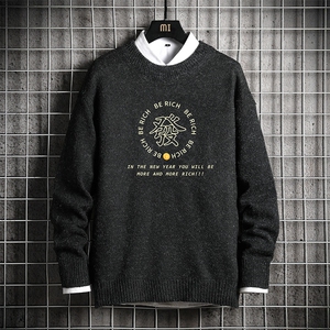 M19163-P45 加绒款-P65 加厚加绒毛衣男大码毛线衣男针织衫 网格图片