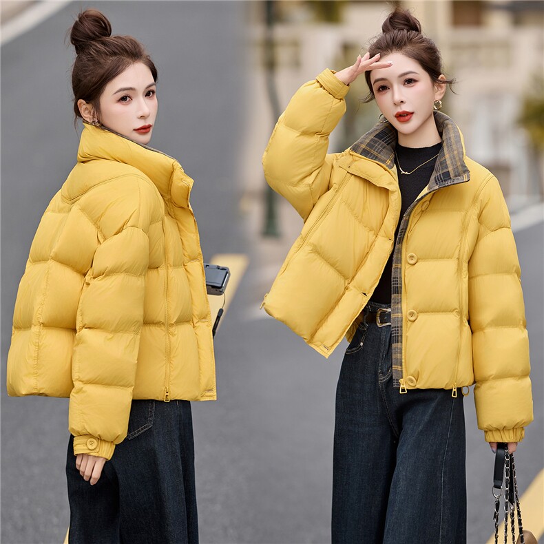 2025年冬季常规无帽立领双拉链90白鸭绒羽绒服，女装羽绒服，艾尚靓装