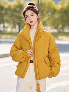 现货！无帽立领保暖厚款白鸭绒羽绒服女图片